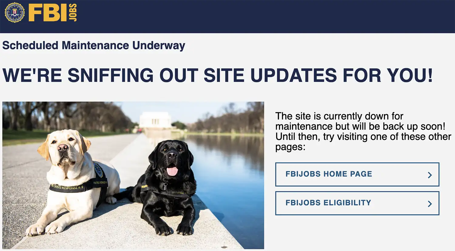 Screenshot of an FBIJobs maintenance page with two dogs pictured beside a notice saying the site is down. Links to the FBIJobs home and eligibility pages appear on the right.