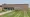 Exterior view of the Delano Public Schools district office building with a brick facade and lawn.