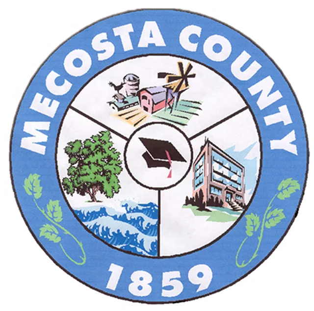Mecosta County, Michigan, USA flag