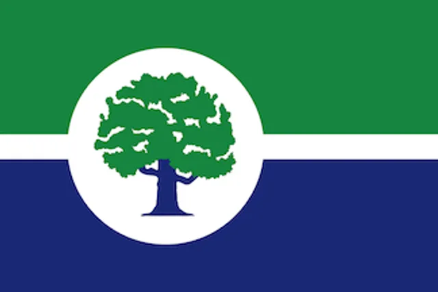 Ann Arbor, Washtenaw County, Michigan, USA flag