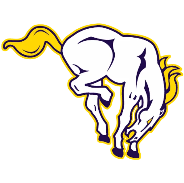 Lakin Unified School District 215, Kansas, USA flag